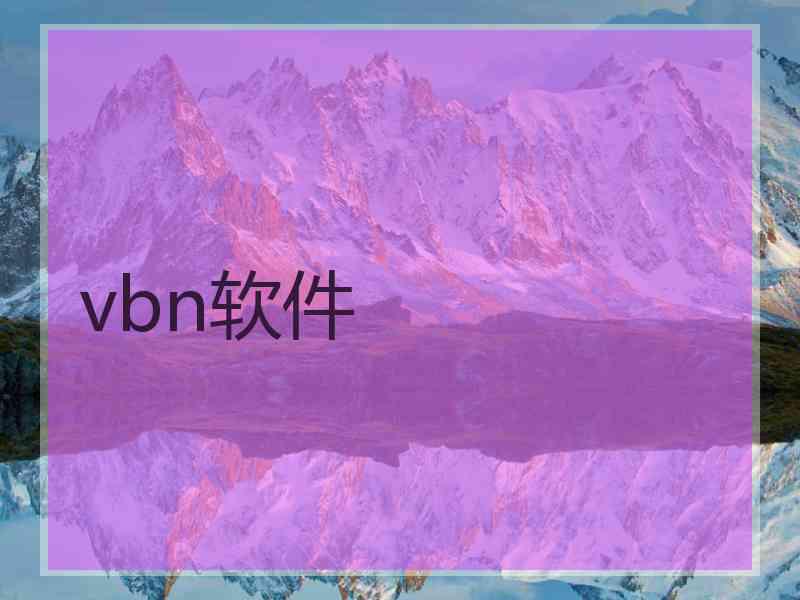 vbn软件