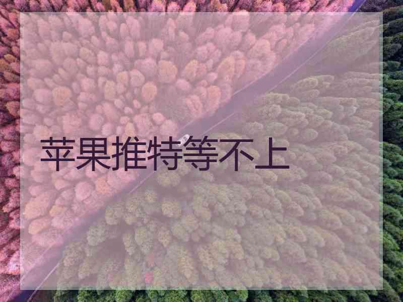 苹果推特等不上