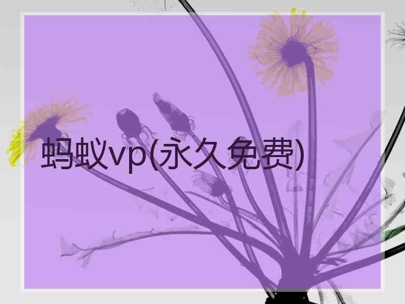 蚂蚁vp(永久免费)