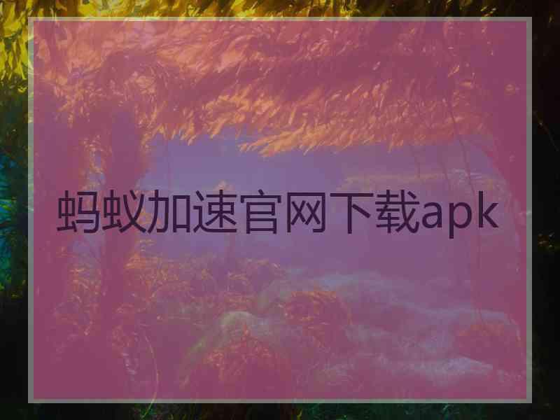 蚂蚁加速官网下载apk