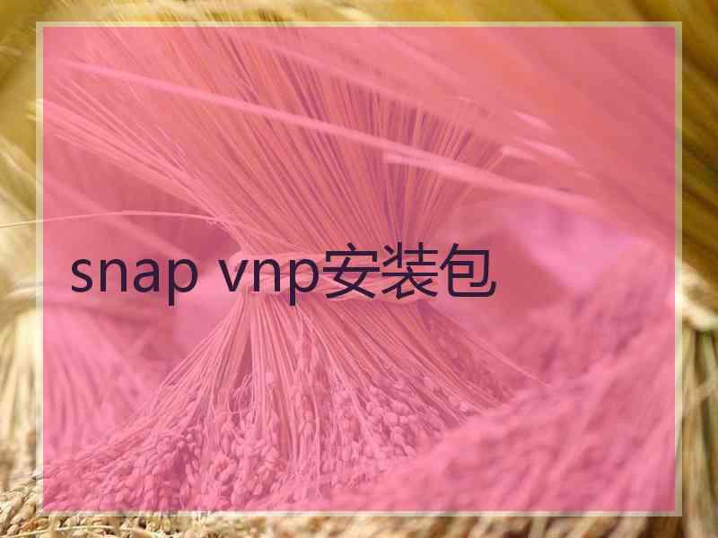 snap vnp安装包