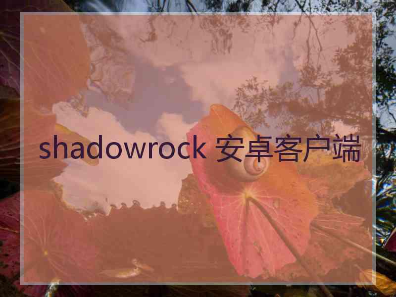 shadowrock 安卓客户端