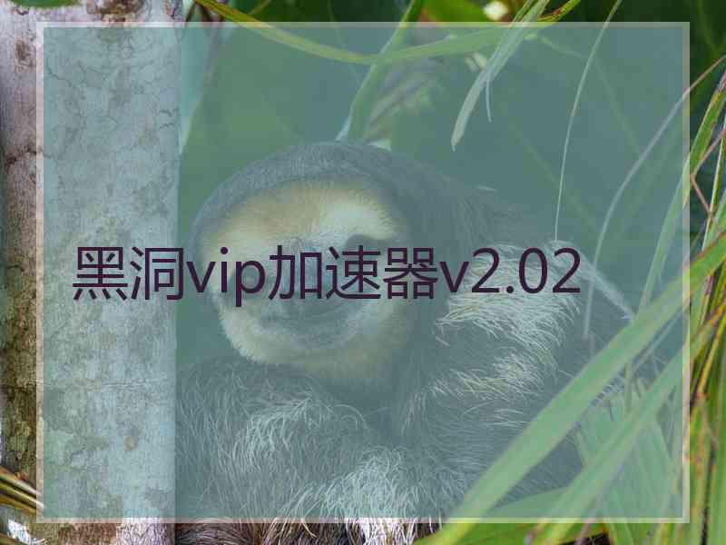 黑洞vip加速器v2.02