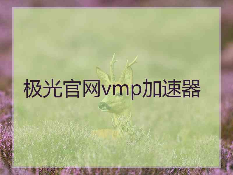 极光官网vmp加速器