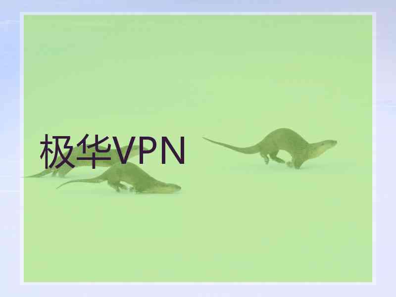 极华VPN