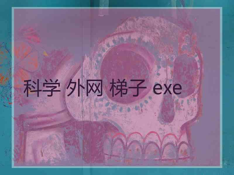 科学 外网 梯子 exe