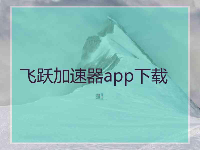 飞跃加速器app下载