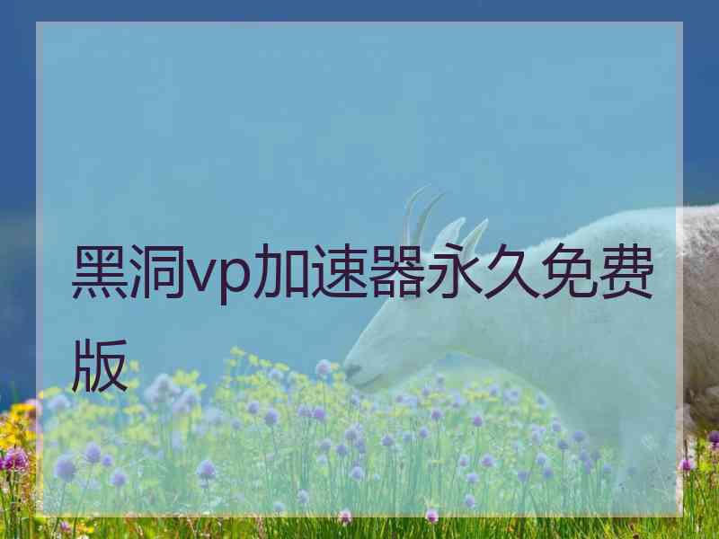 黑洞vp加速器永久免费版