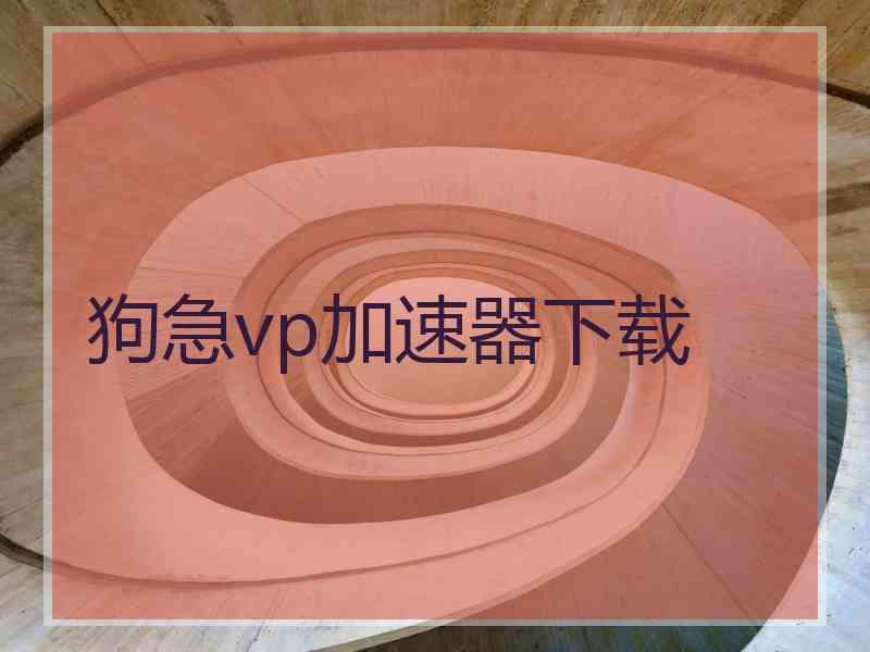 狗急vp加速器下载