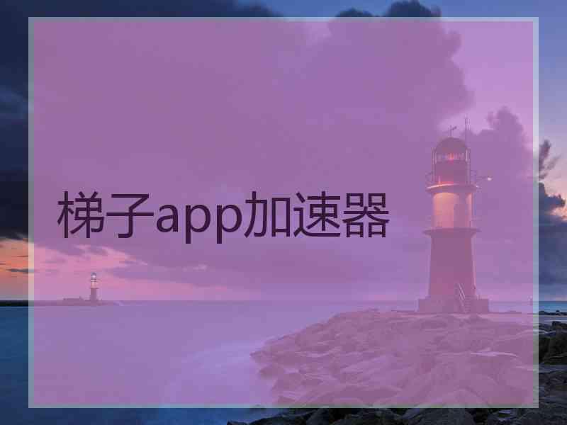 梯子app加速器