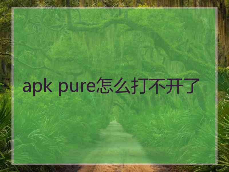 apk pure怎么打不开了