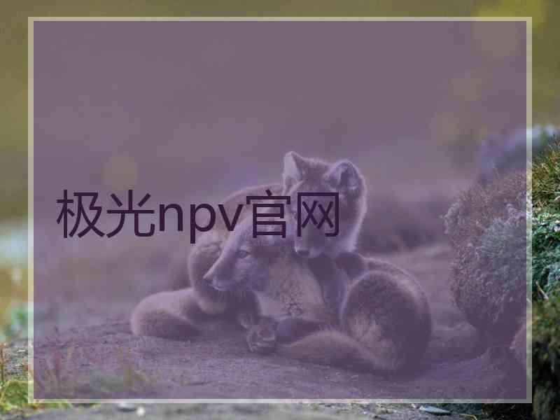 极光npv官网