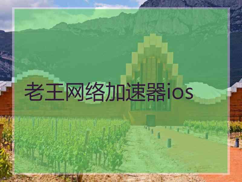 老王网络加速器ios