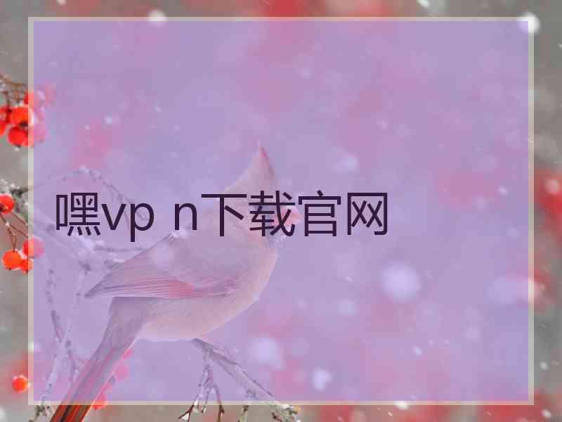 嘿vp n下载官网