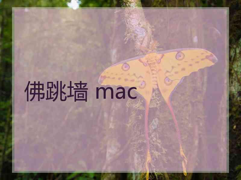 佛跳墙 mac