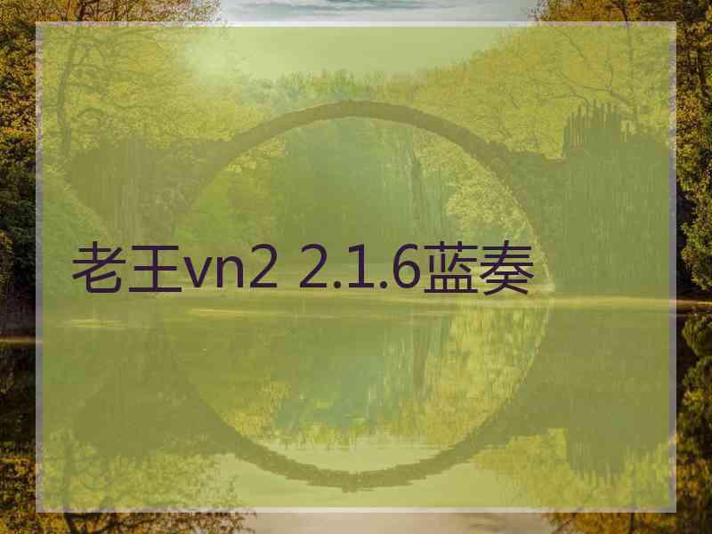 老王vn2 2.1.6蓝奏