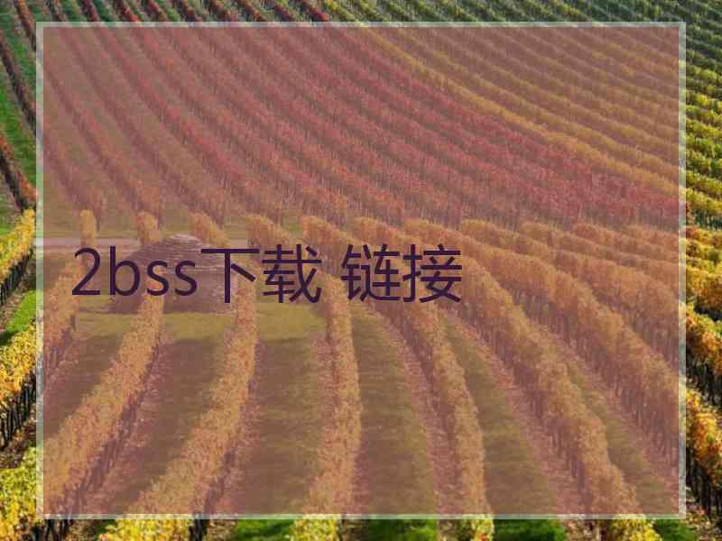 2bss下载 链接