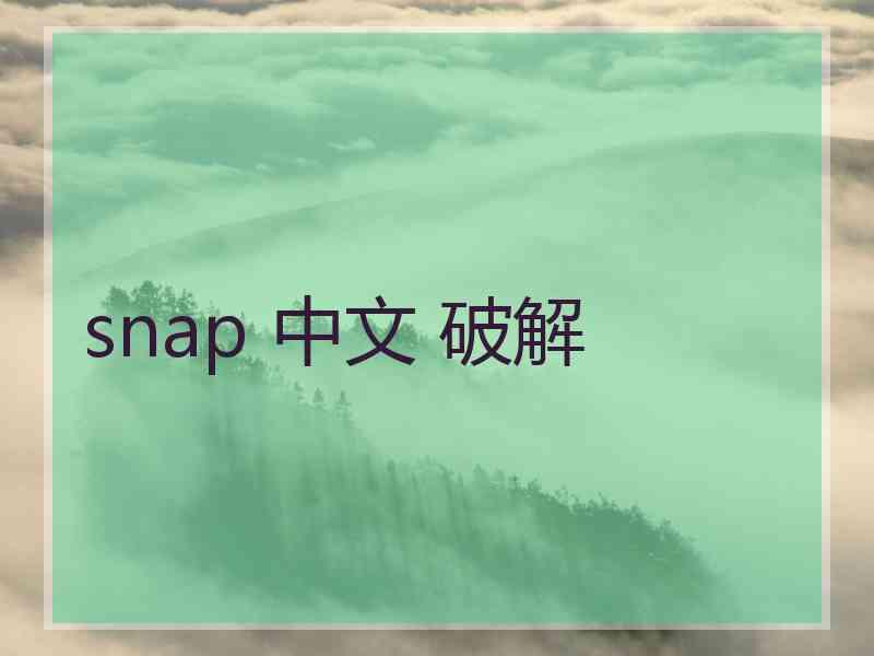 snap 中文 破解