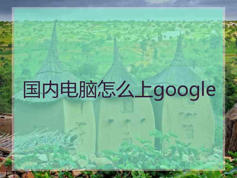 国内电脑怎么上google