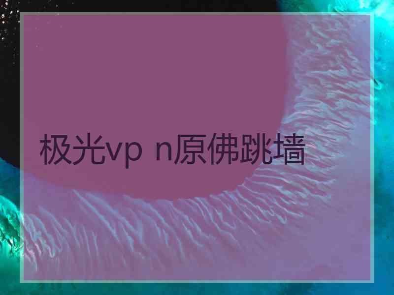 极光vp n原佛跳墙