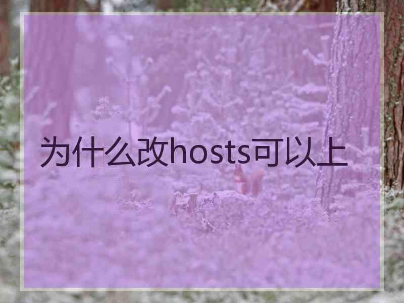 为什么改hosts可以上