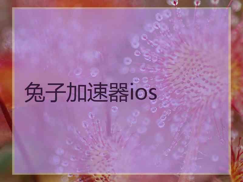 兔子加速器ios