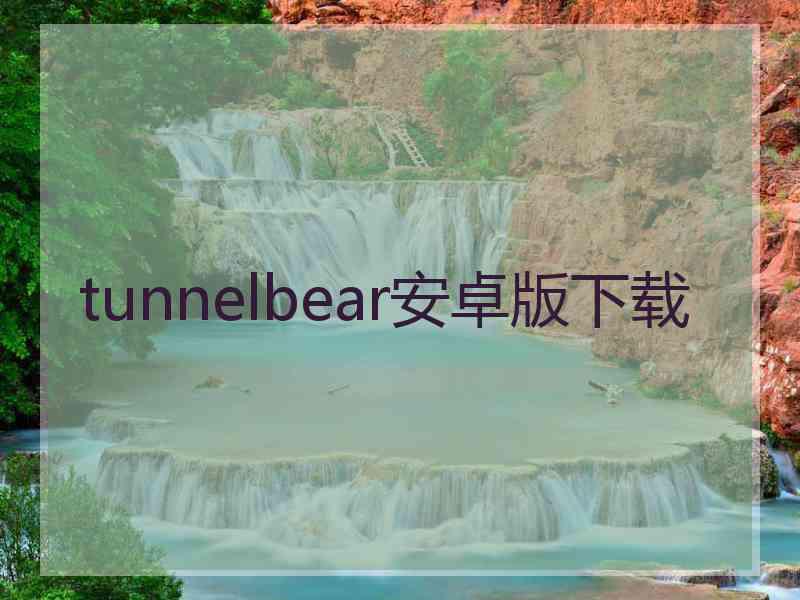 tunnelbear安卓版下载