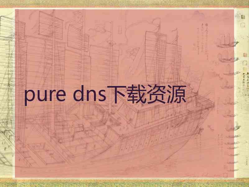 pure dns下载资源