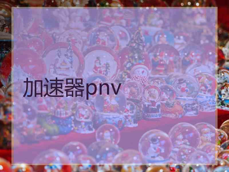 加速器pnv