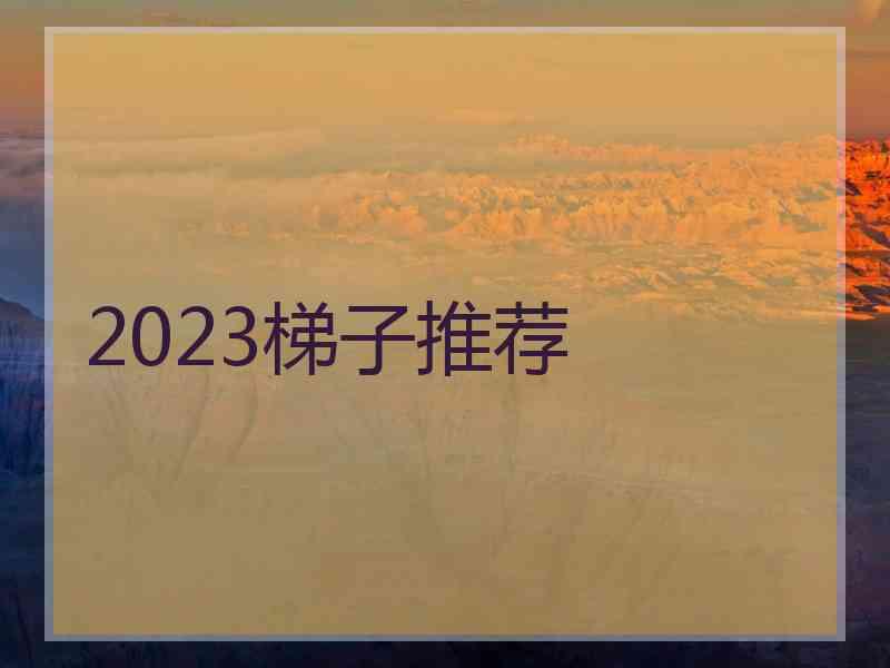 2023梯子推荐