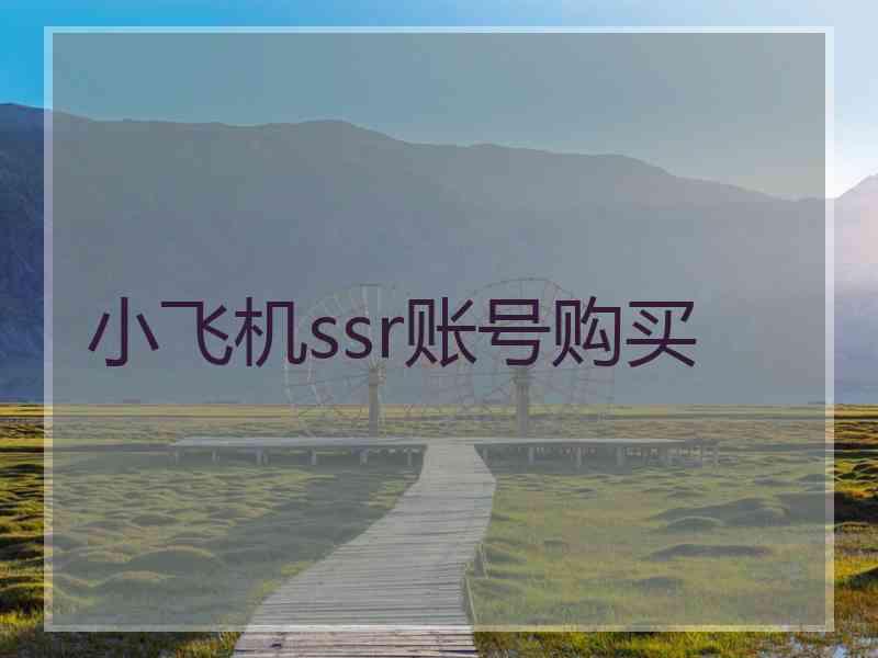 小飞机ssr账号购买