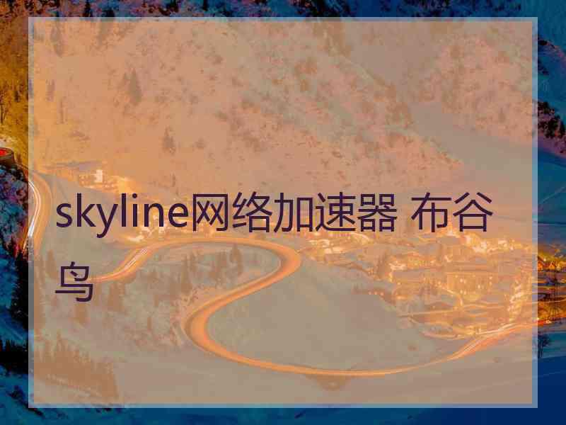 skyline网络加速器 布谷鸟