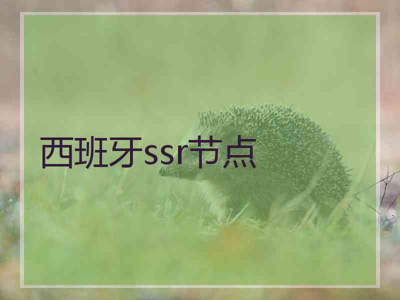 西班牙ssr节点