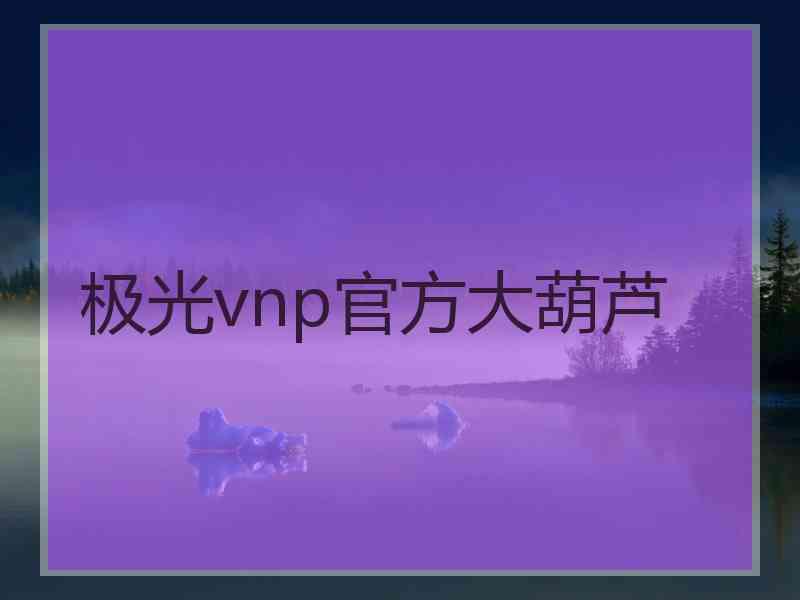 极光vnp官方大葫芦