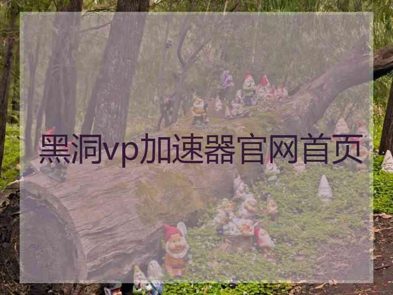 黑洞vp加速器官网首页