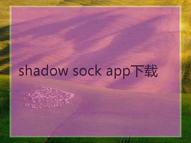 shadow sock app下载