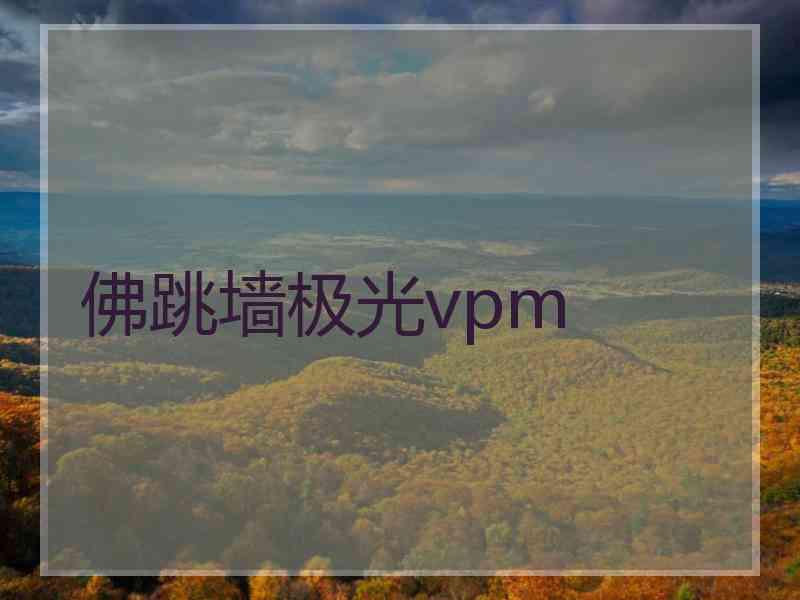 佛跳墙极光vpm