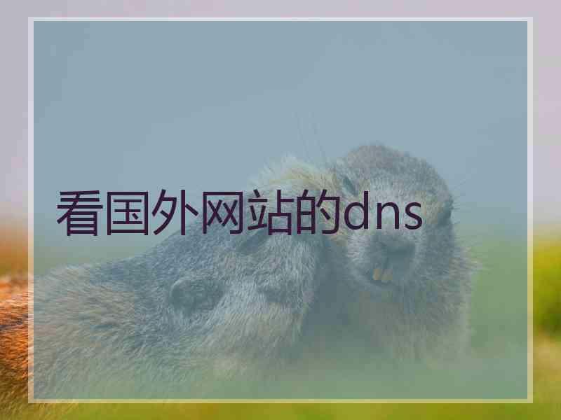 看国外网站的dns