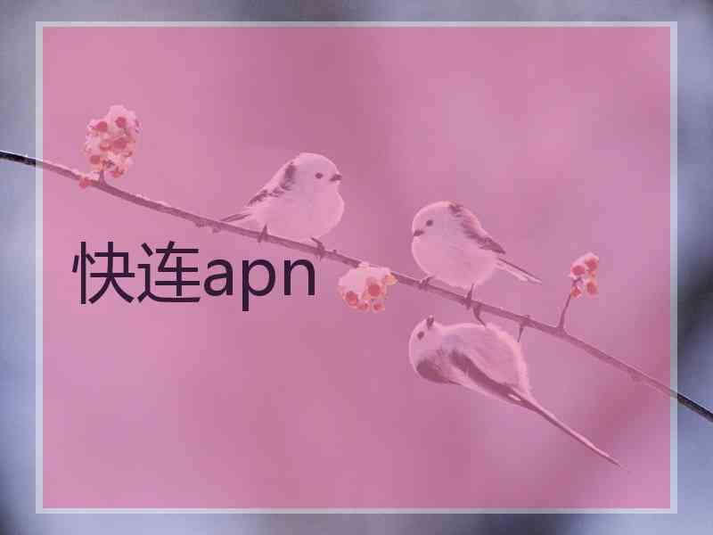 快连apn