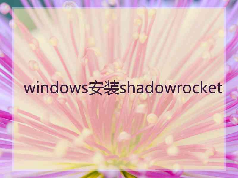 windows安装shadowrocket