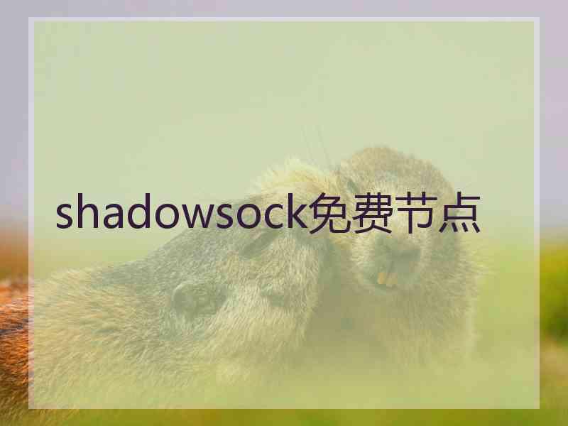 shadowsock免费节点