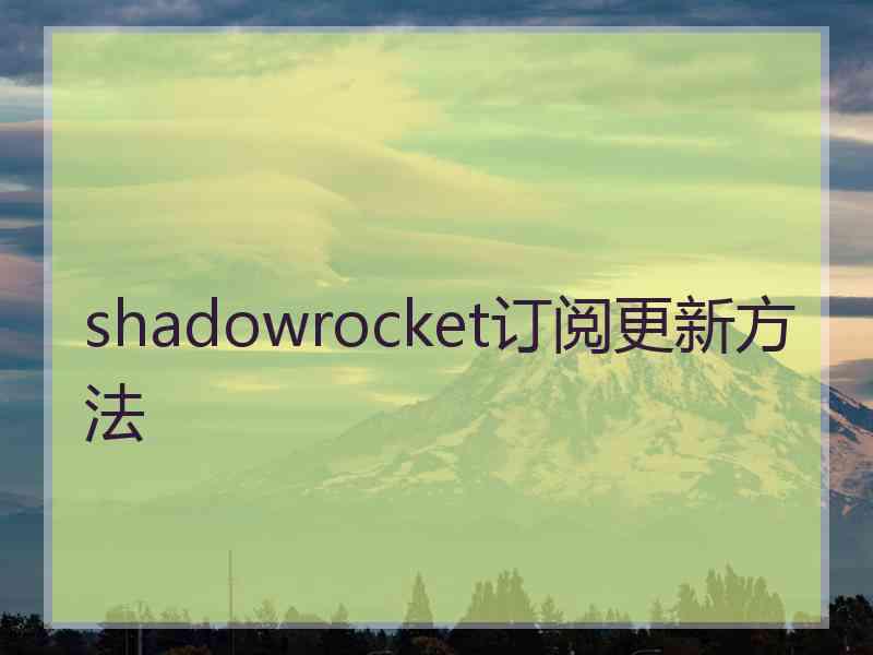 shadowrocket订阅更新方法