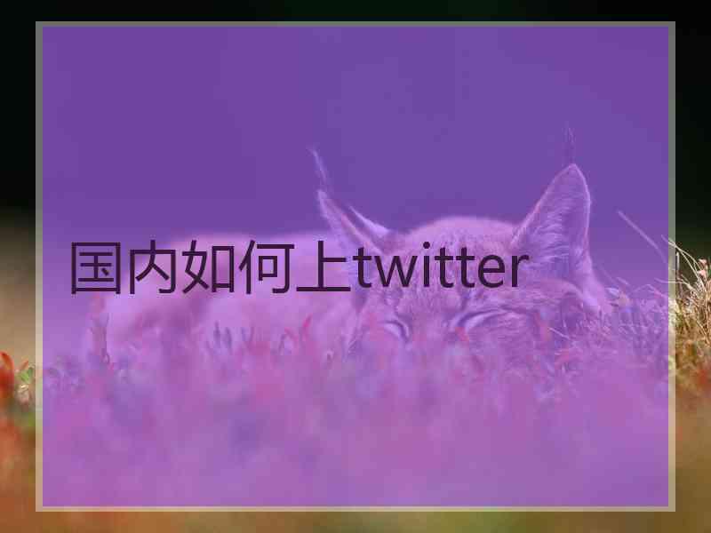 国内如何上twitter