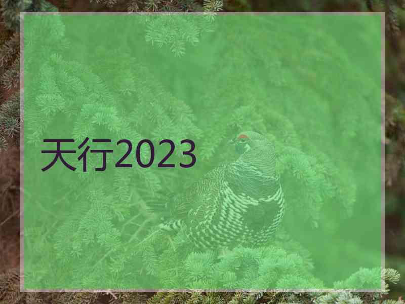 天行2023