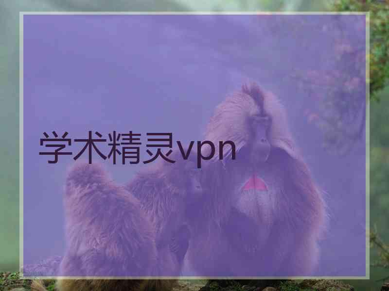 学术精灵vpn