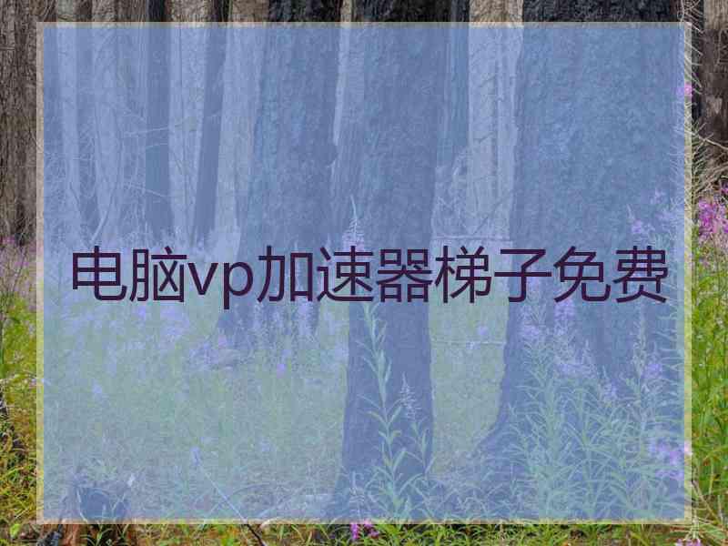 电脑vp加速器梯子免费