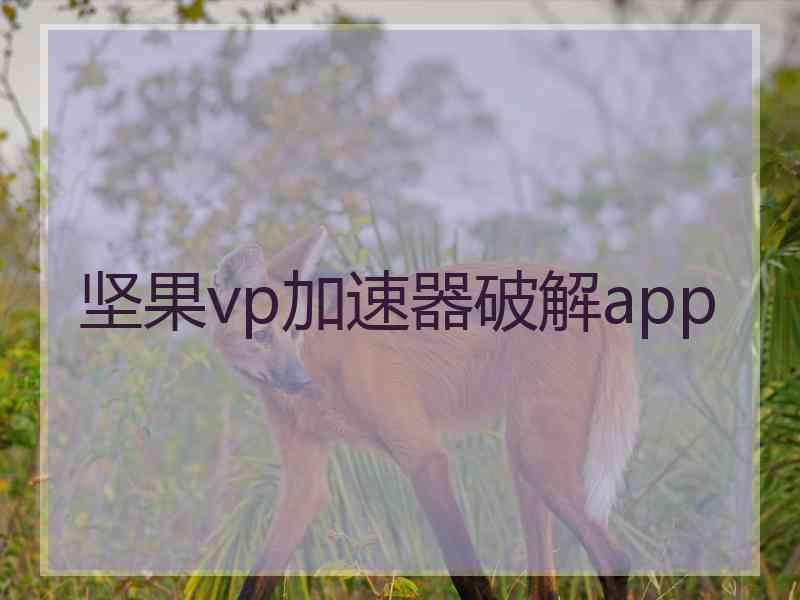 坚果vp加速器破解app