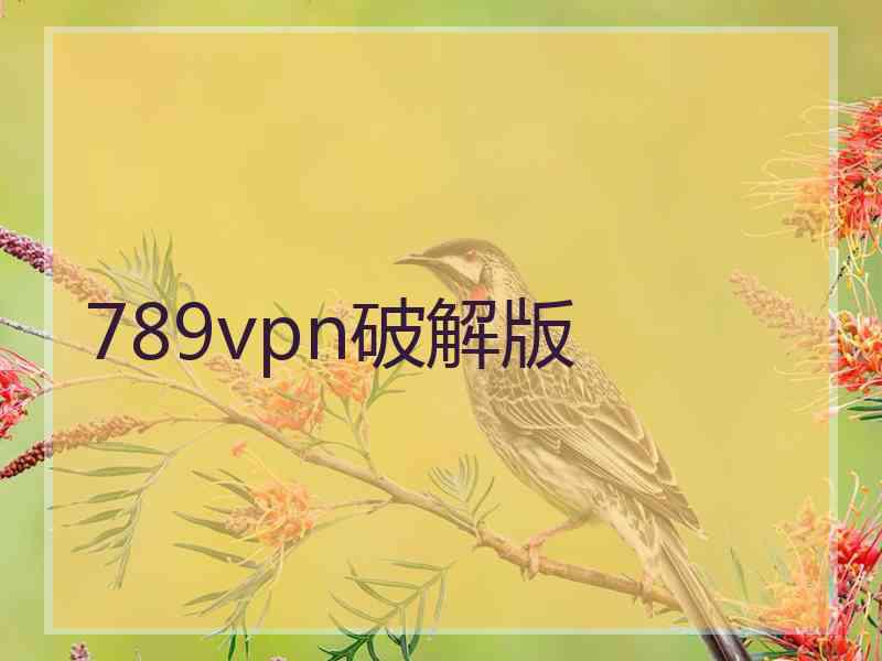 789vpn破解版