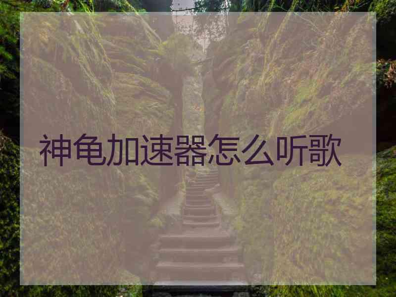 神龟加速器怎么听歌