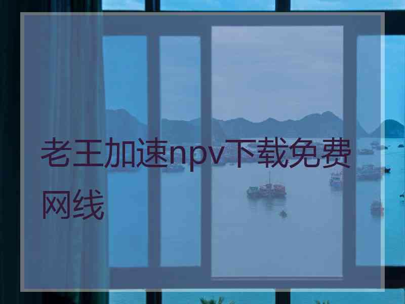 老王加速npv下载免费网线